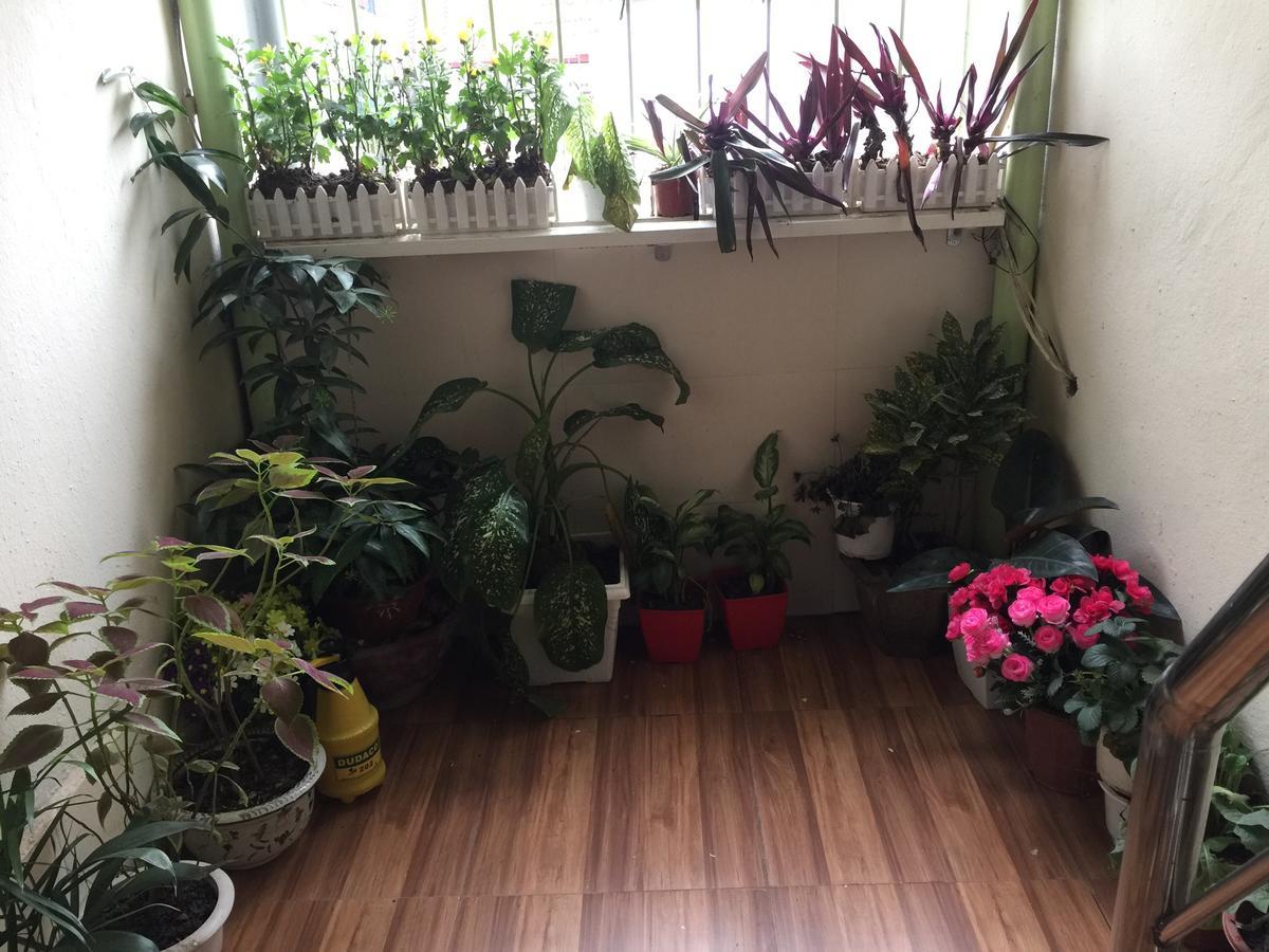 Cozy Homestay Hanoi Exterior photo